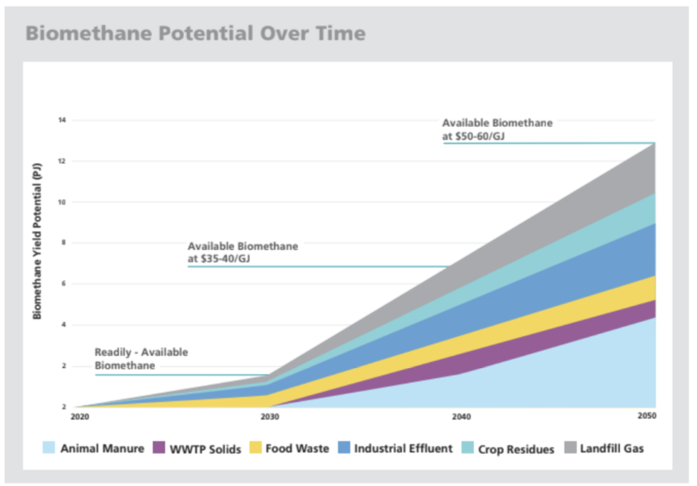 Unlocking New Zealand’s Biomethane Potential — image